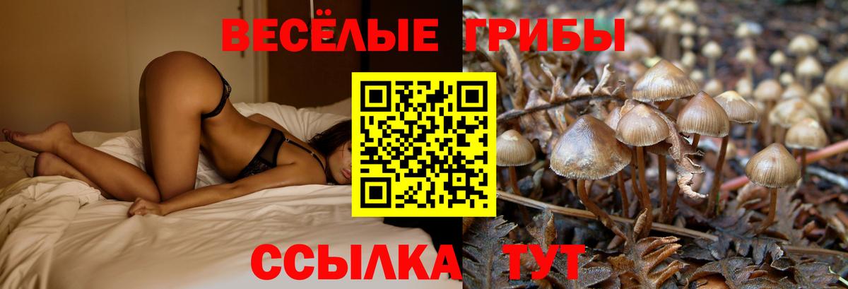 Когалым  Галлюциногенные грибы GOLDEN TEACHER  Вход с VPN 